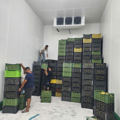 Mise en service chambre froide positif 80 tonnes