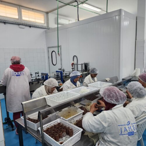 Entrepot Frigorifique Jamel Fish à Kelibia