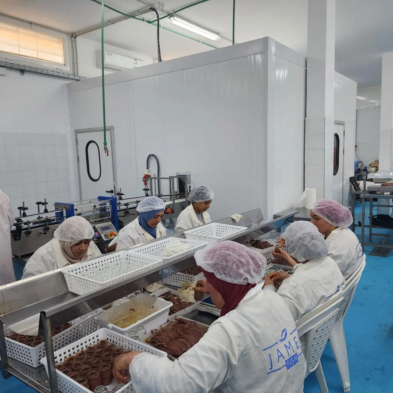 Chambre froide négative en Tunisie